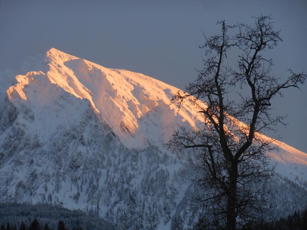 Bio-Urlaubshof Dansbach Villa ชปิทัล อัม เพิร์ม ภายนอก รูปภาพ